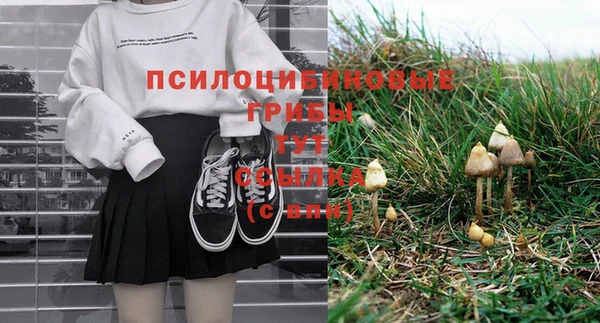 МДПВ Бронницы