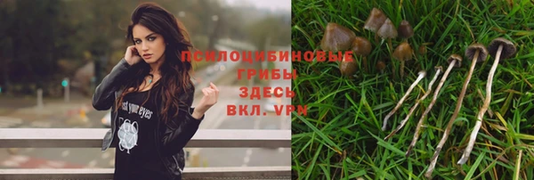 МДПВ Бронницы