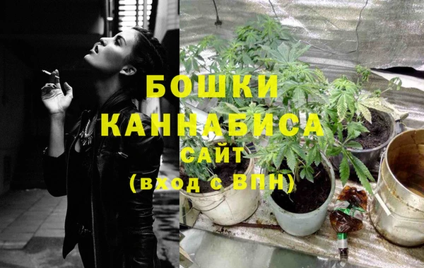 МДПВ Бронницы