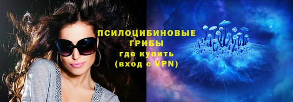 МДПВ Бронницы